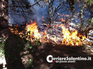 CRONACA_incendio-macchia