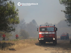 CRONACA_incendio-pineta-(1)