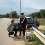 CRONACA_prostituzione