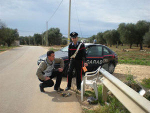 CRONACA_prostituzione