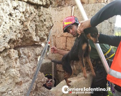 1554604_10203074792861478_1