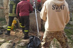Salvati dai Vigili del Fuoco due cani caduti in un pozzo - Corriere Salentino