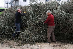 Fòcara di Maglie, gli organizzatori: "la rifaremo e sarà accesa come da programma" - Corriere Salentino