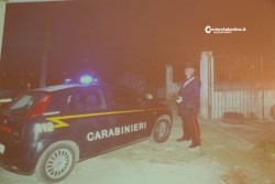 Pestarono pastore per rubare gregge, famiglia nei guai: quattro arresti - Corriere Salentino