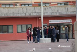 Tragedia al liceo: fiori bianchi per Andrea - Corriere Salentino
