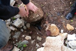 Ferisce l'amico a colpi di pistola, prima fugge poi va al bar: arrestato 33enne - Corriere Salentino