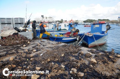 Torre-San-Giovanni-Ugento-d
