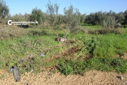 Auto si ribalta, feriti cinque amici: tre sono in prognosi riservata - Corriere Salentino