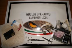 Spacciano eroina in casa e finiscono dritti in prigione - Corriere Salentino