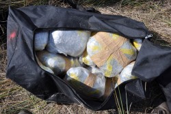 Droga dall'Albania, trovati alle Cesine 145 chili di marijuana: un arresto - Corriere Salentino