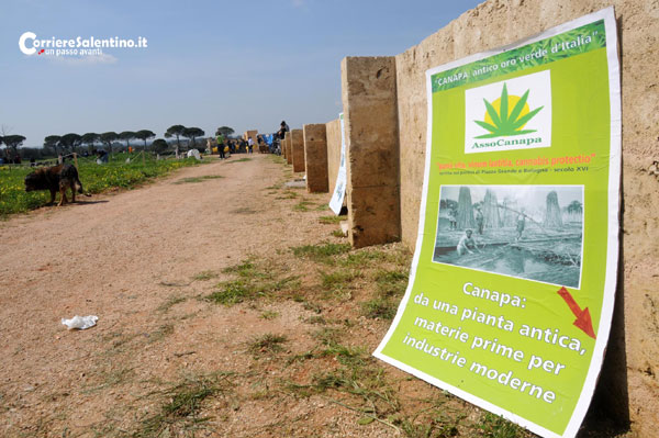 Prima semina collettiva di Canapa