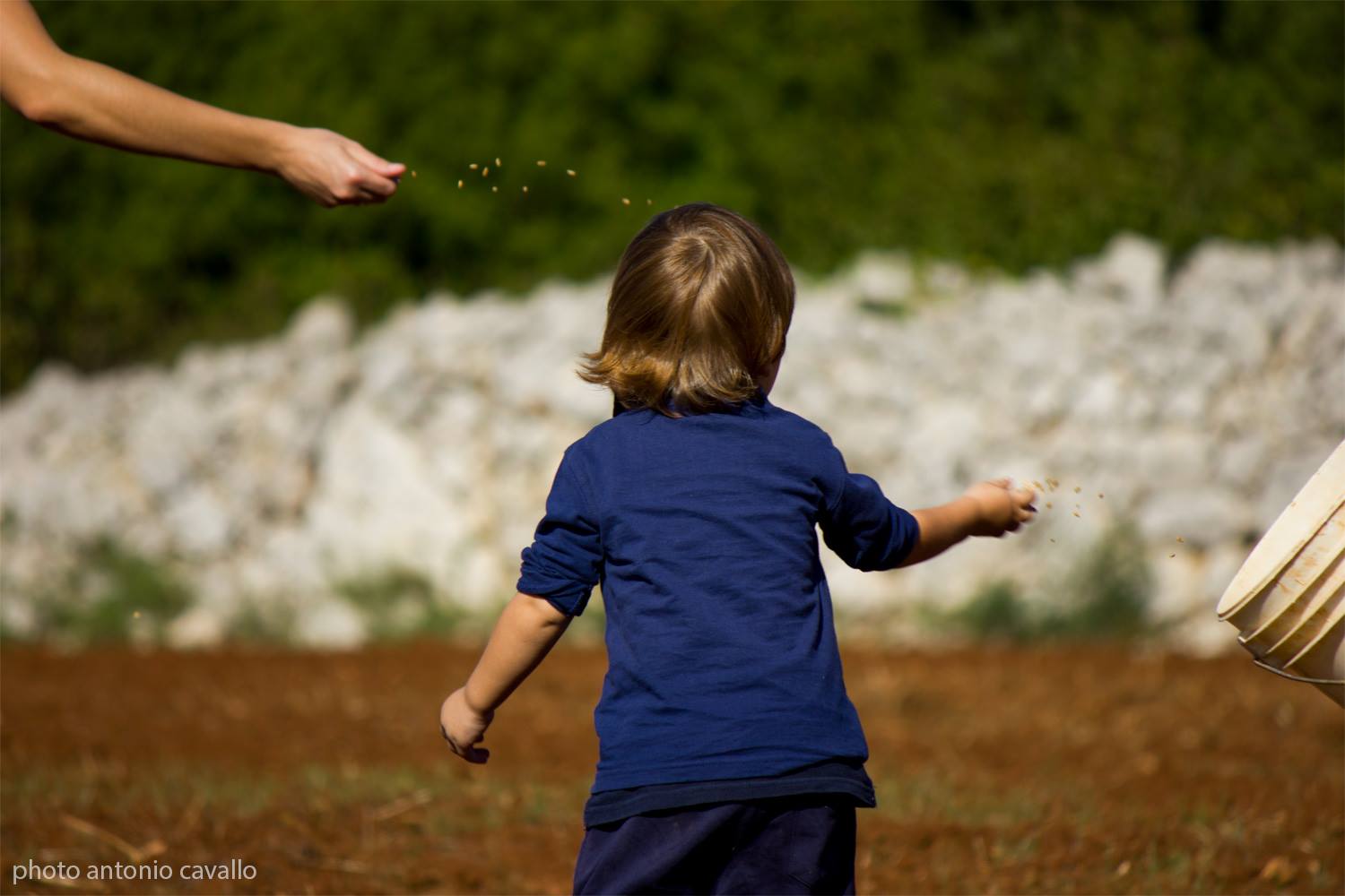 Canapa, ritorno al futuro