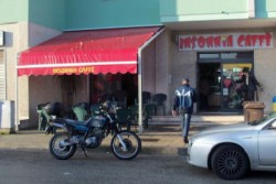 Confiscati i beni del boss ucciso, c'è anche una tigre siberiana - Corriere Salentino