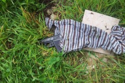 Troppo basse le pene per i baby-rapinatori, rigettati i patteggiamenti - Corriere Salentino