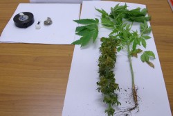 Lotta allo spaccio di droga, due arresti a Copertino e Taviano - Corriere Salentino