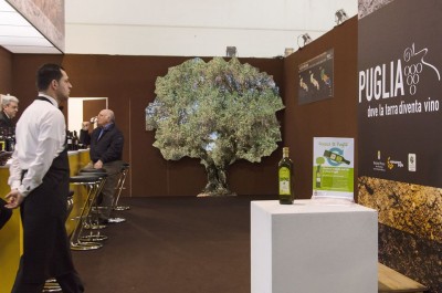 Ulivo monumento alla biodiversità Puglia