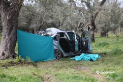 Fuori strada con l'auto, si schianta contro ulivo e muore - Corriere Salentino