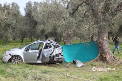 Fuori strada con l'auto, si schianta contro ulivo e muore - Corriere Salentino