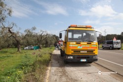 Fuori strada con l'auto, si schianta contro ulivo e muore - Corriere Salentino
