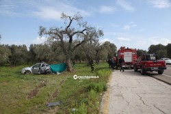 Fuori strada con l'auto, si schianta contro ulivo e muore - Corriere Salentino