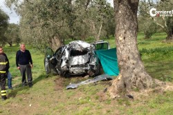 Fuori strada con l'auto, si schianta contro ulivo e muore - Corriere Salentino