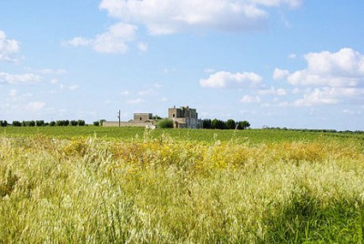 masseria-salento-campagna