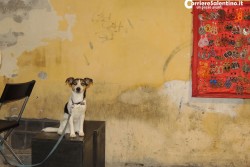 Tra caldi e avvolgenti colori si è conclusa un’altra Notte Bianca a Lecce - Corriere Salentino