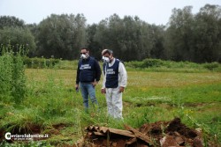 Ruspe al lavoro, spuntano altri rifiuti nella zona di Scorrano - Corriere Salentino