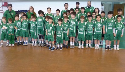 showy boys minivolley