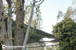 Cade dal tetto e muore sul colpo. Il dramma nell'abitazione che doveva acquistare - Corriere Salentino