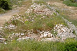 Ennesimo scempio ambientale: 300 ulivi estirpati e 2 discariche abusive sequestrate - Corriere Salentino