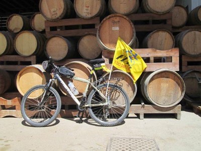 bicicletta cantine