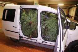 Droga per due milioni e mezzo di euro: torna in carcere il killer di Renata Fonte - Corriere Salentino