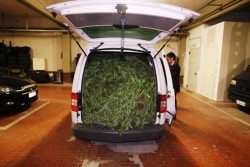 Droga per due milioni e mezzo di euro: torna in carcere il killer di Renata Fonte - Corriere Salentino