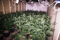 Droga per due milioni e mezzo di euro: torna in carcere il killer di Renata Fonte - Corriere Salentino