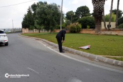 Carambola mortale sulla Ugento-Racale, vittima un 24enne - Corriere Salentino