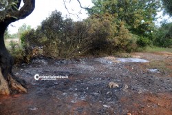 Precipita ultraleggero, morti padre e figlio - Corriere Salentino