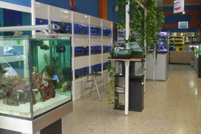 acquarium lecce tropical point
