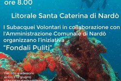 Un Mare d’Amare: “Fondali Puliti" a Santa Caterina di Nardò" - Corriere Salentino