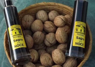 noci e nocino