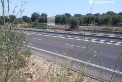 Schianto mortale sulla 101: auto si ribalta, muore una 26enne - Corriere Salentino