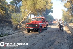 Fiamme e paura a Santa Cesarea, vasto incendio mette in allerta i residenti - Corriere Salentino