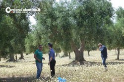 Il killer di Copertino conosceva la vittima ed aveva un complice - Corriere Salentino