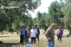 Il killer di Copertino conosceva la vittima ed aveva un complice - Corriere Salentino