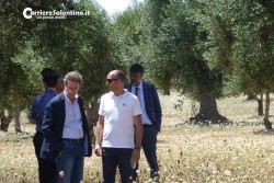 Il killer di Copertino conosceva la vittima ed aveva un complice - Corriere Salentino