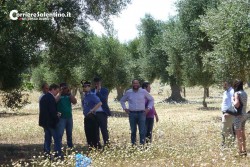 Il killer di Copertino conosceva la vittima ed aveva un complice - Corriere Salentino