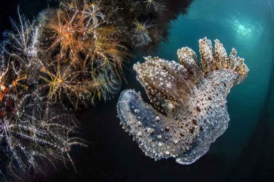 foto di Domenico Roscigno