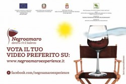 Al via "Vecchia Torre Wine Festival", degustazioni e musica dal vivo a Leverano - Corriere Salentino