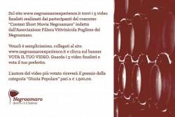 Al via "Vecchia Torre Wine Festival", degustazioni e musica dal vivo a Leverano - Corriere Salentino