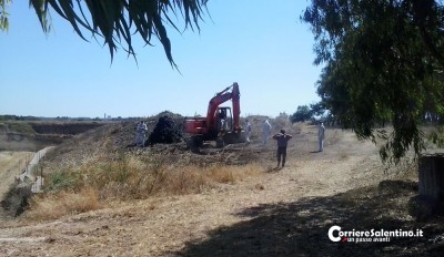    Le ruspe in azione stamattina